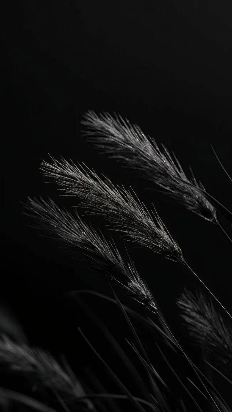 hình nền google pixel 7 thanh lịch