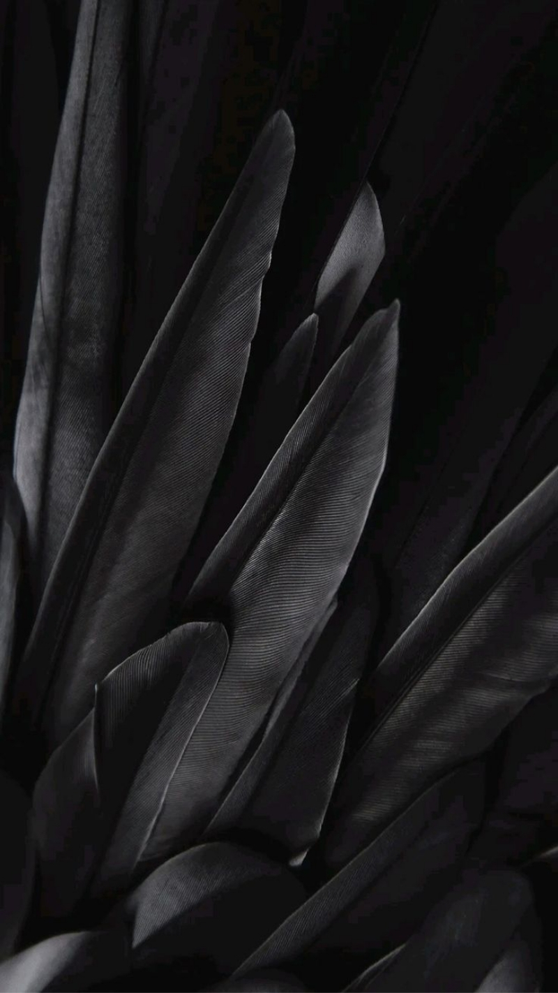 hình nền google pixel 7 vàng ao