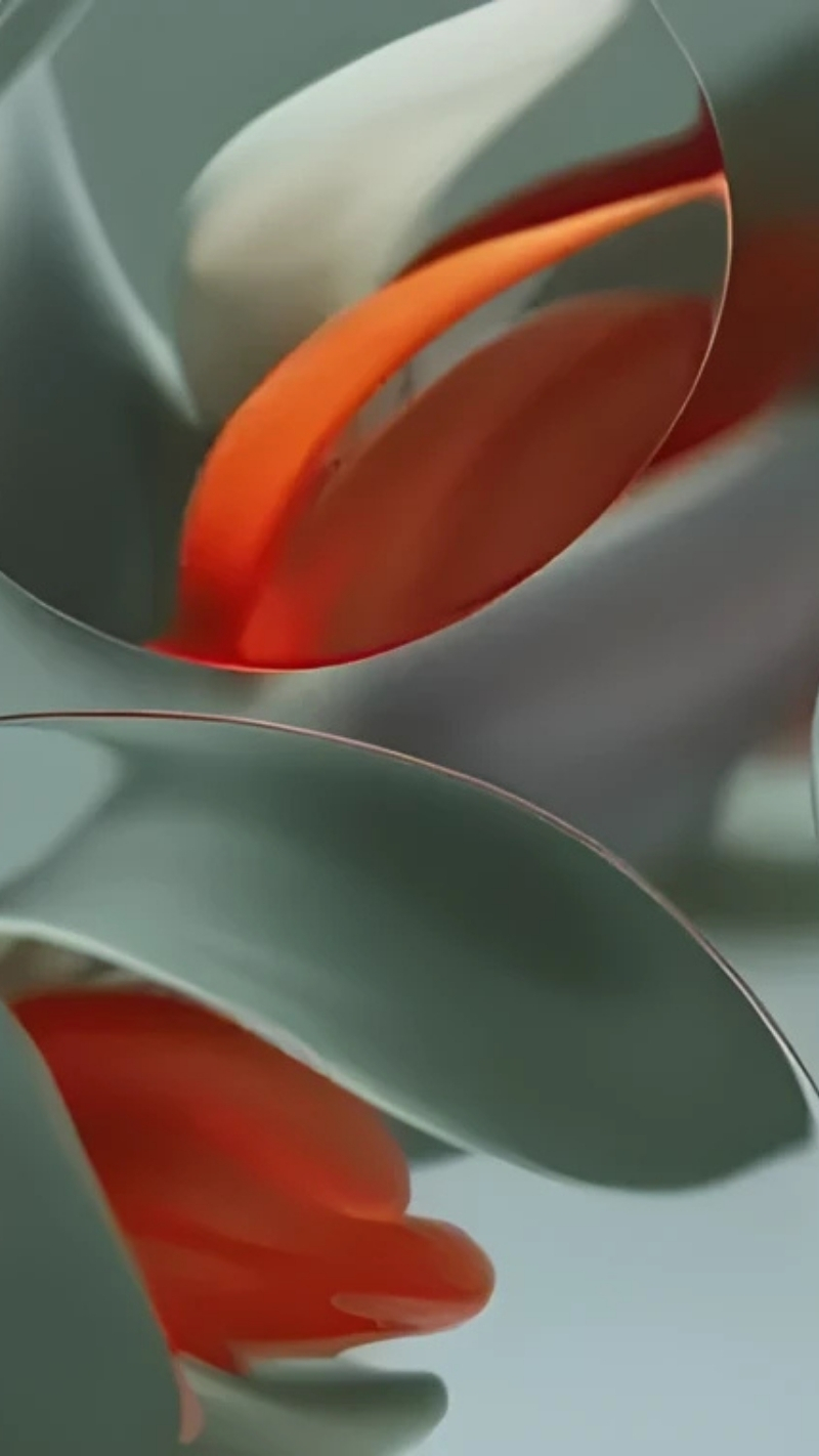 hình nền google pixel 9 cú kỳ