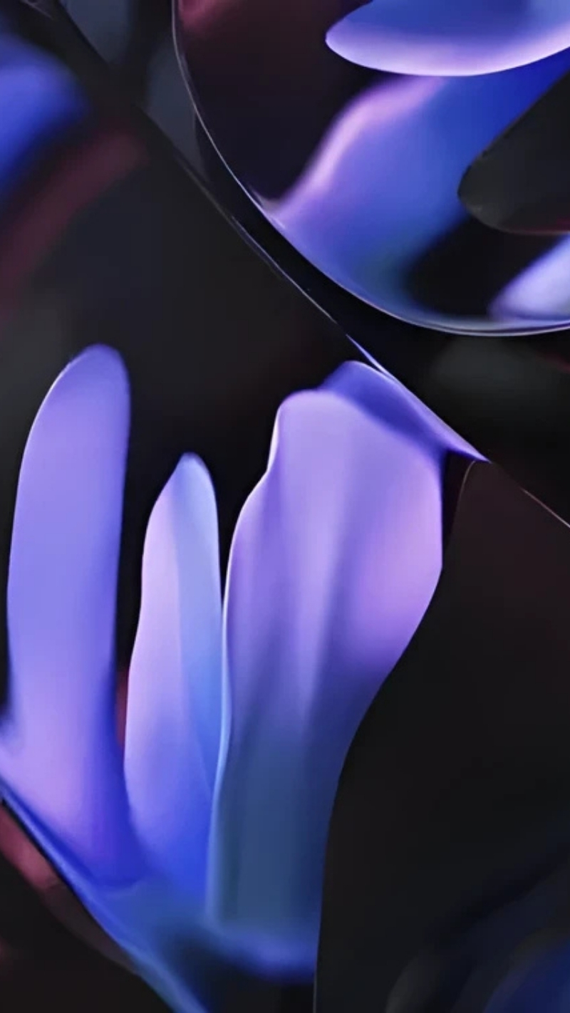 hình nền google pixel 9 tin tức