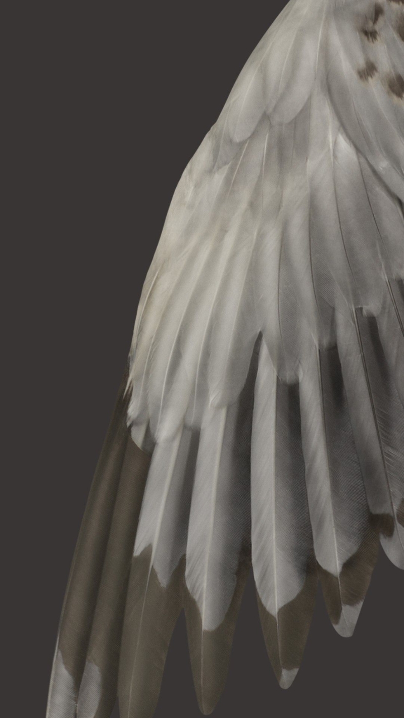 hình nền google pixel fold đẹp nhất