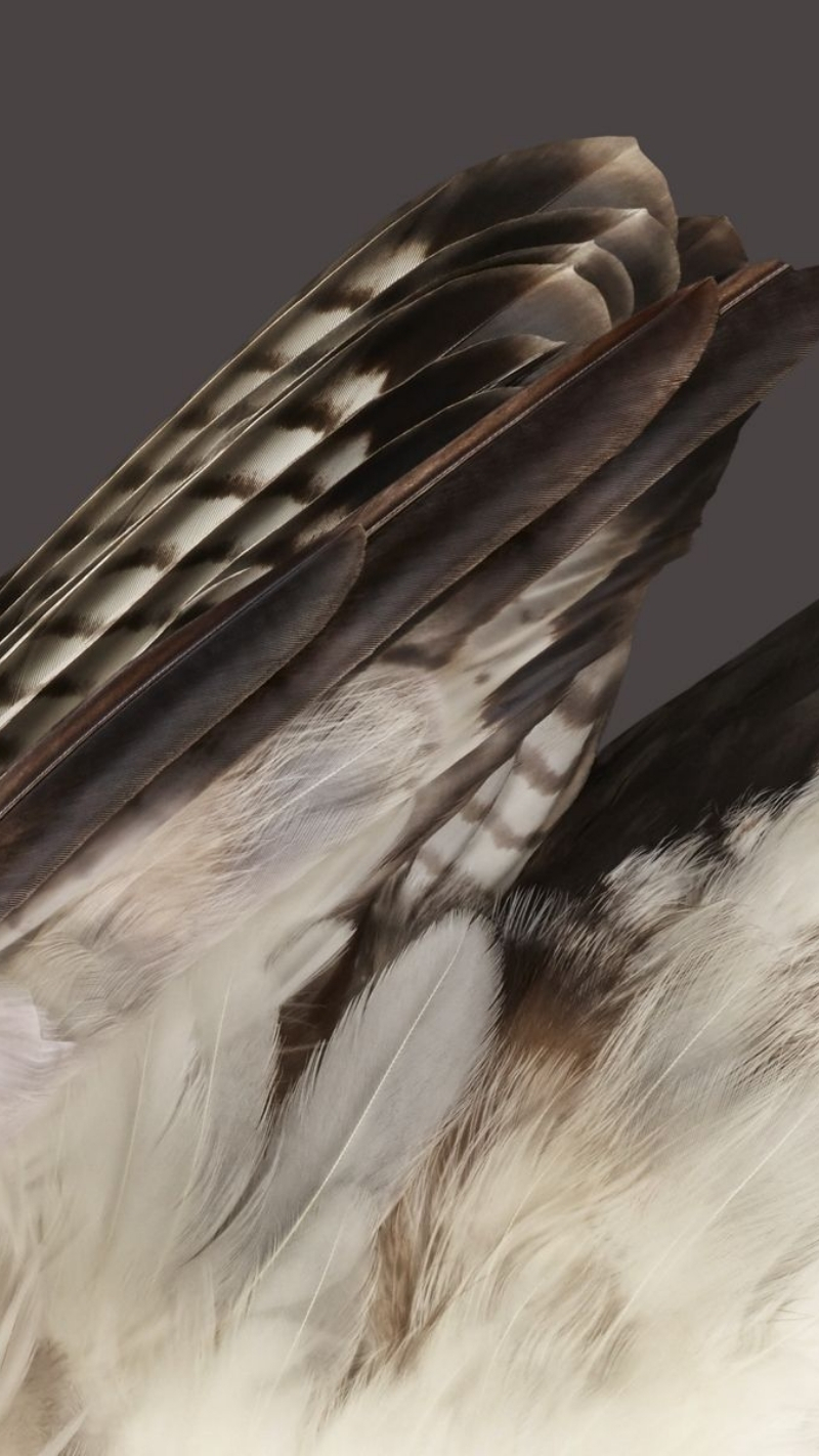 hình nền google pixel fold sang chảnh