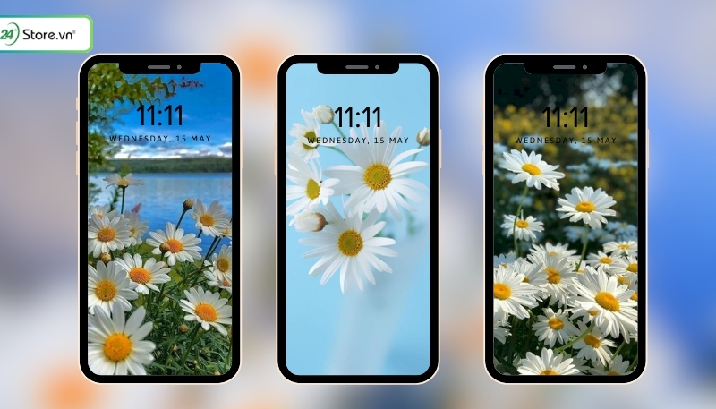 hình ảnh hoa cúc vạn thọ siêu đẹp