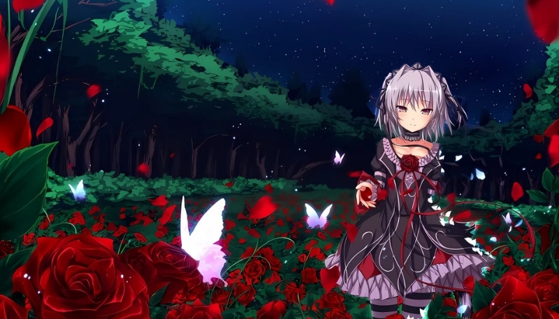 ảnh nền hoa hồng đỏ anime lãng mạn