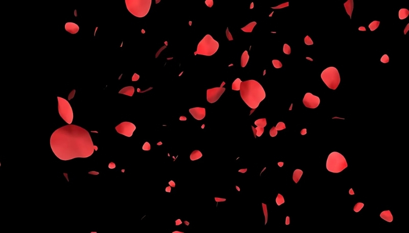 ảnh nền hoa hồng đỏ cánh hoa bay trong gió