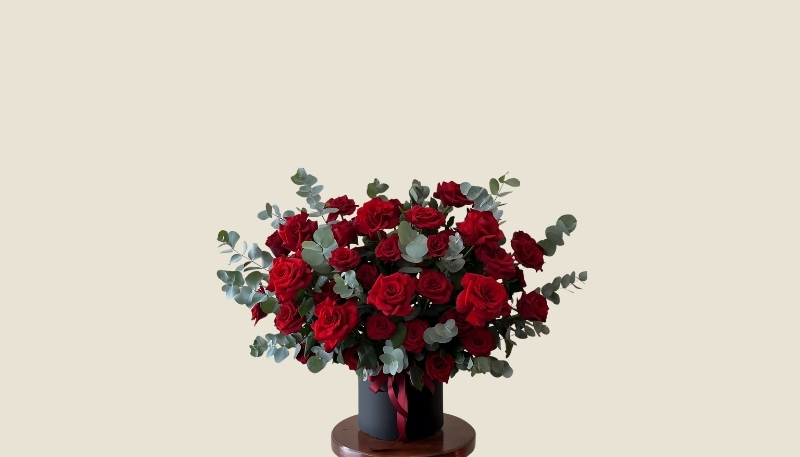 ảnh nền hoa hồng đỏ chậu hoa đẹp