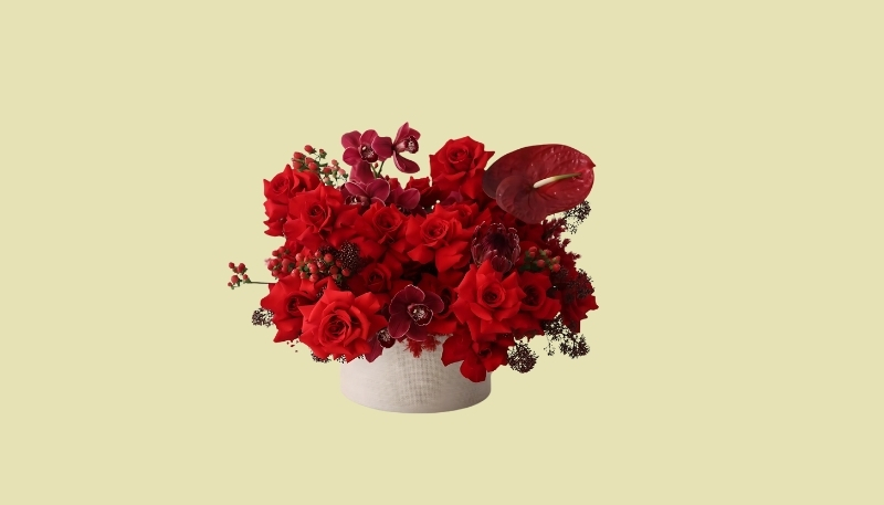 ảnh nền hoa hồng đỏ chậu hoa nghệ thuật
