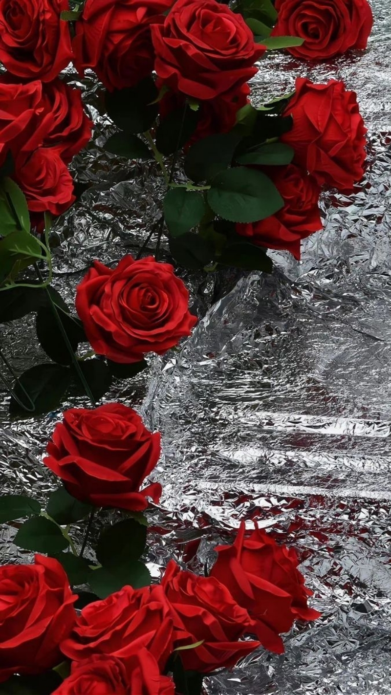 ảnh nền hoa hồng đỏ điện thoại và dòng nước