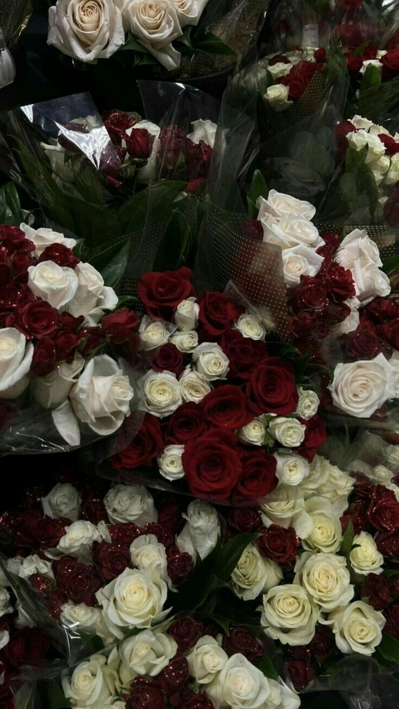 ảnh nền hoa hồng đỏ điện thoại và hoa trắng