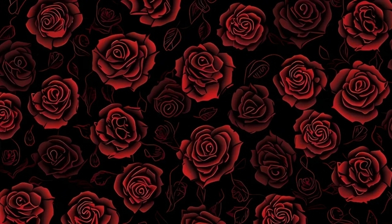 ảnh nền hoa hồng đỏ nghệ thuật và trừu tượng
