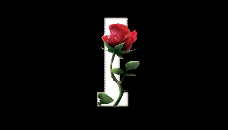 ảnh nền hoa hồng đỏ số một