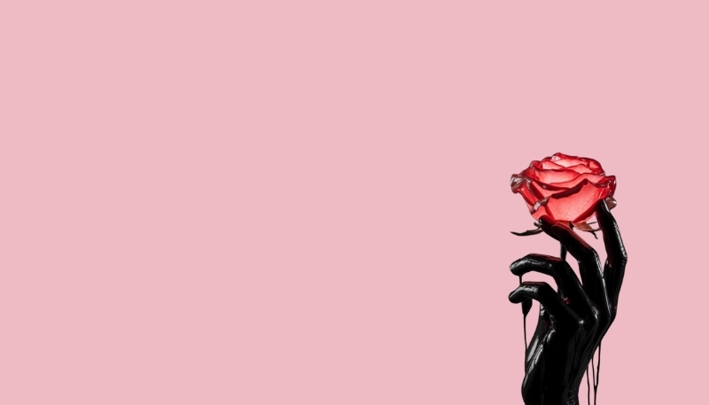 ảnh nền hoa hồng đỏ bàn tay xinh