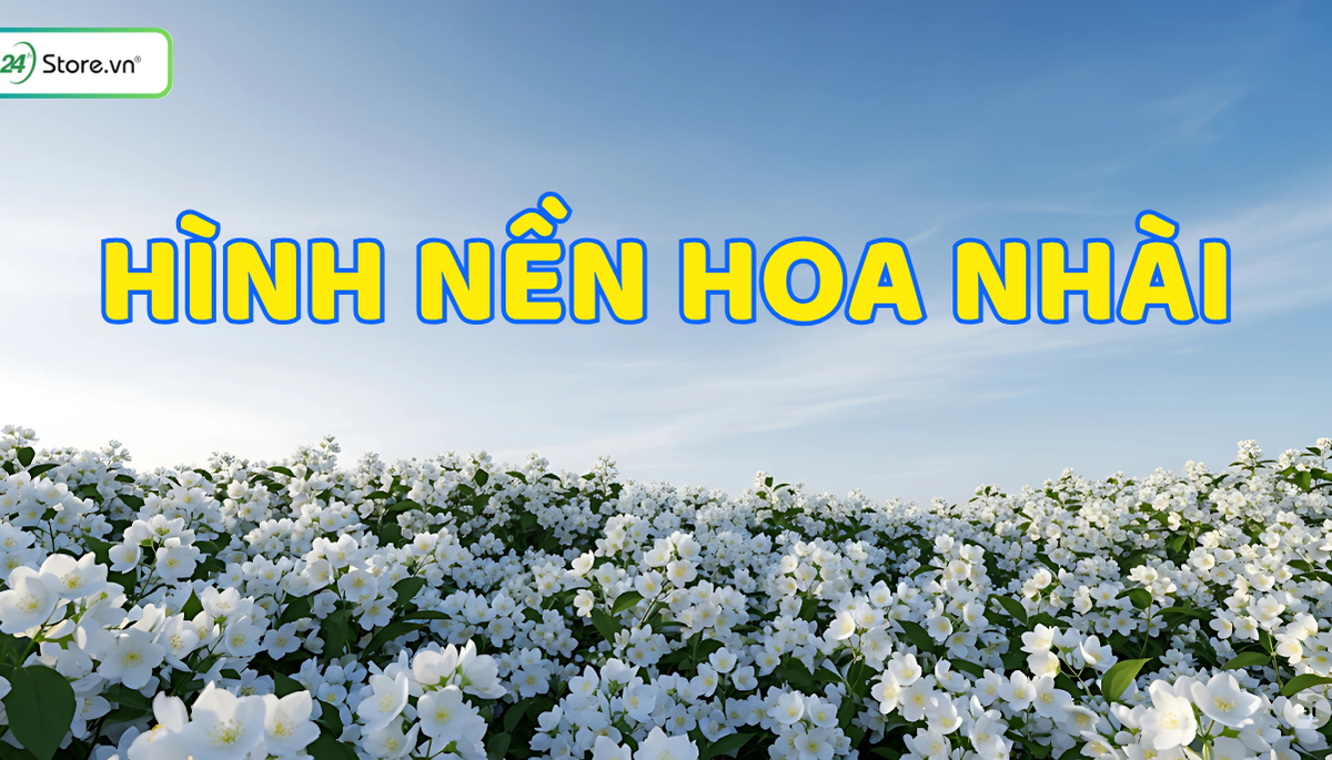 hình nền hoa nhài