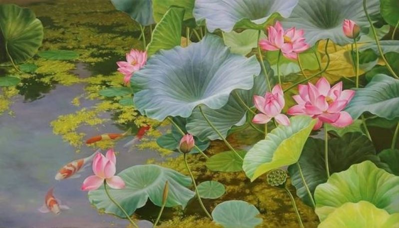 ảnh vẽ hoa sen đẹp