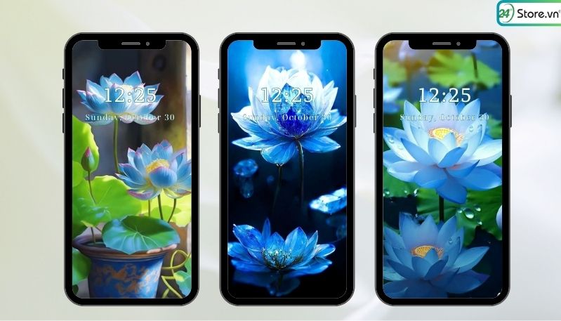 hình nền hoa sen màu trắng