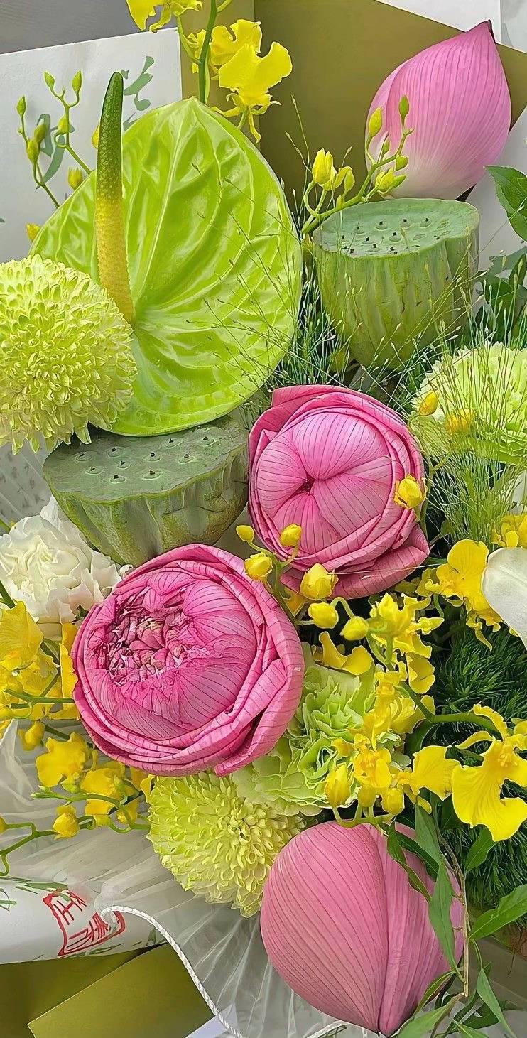 hình nền hoa sen hồng