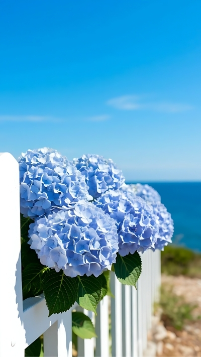 Hình hoa cẩm tú cầu xanh đẹp