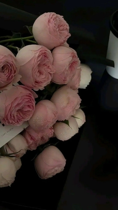 Hình nền bó hoa hồng nhạt