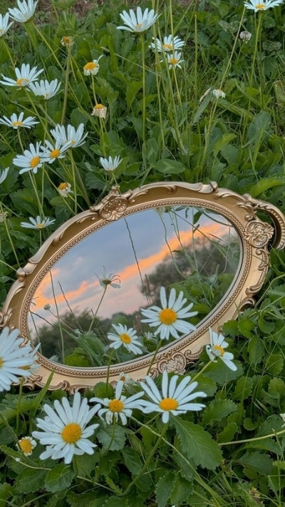 Hình nền hoa cúc họa mi và gương