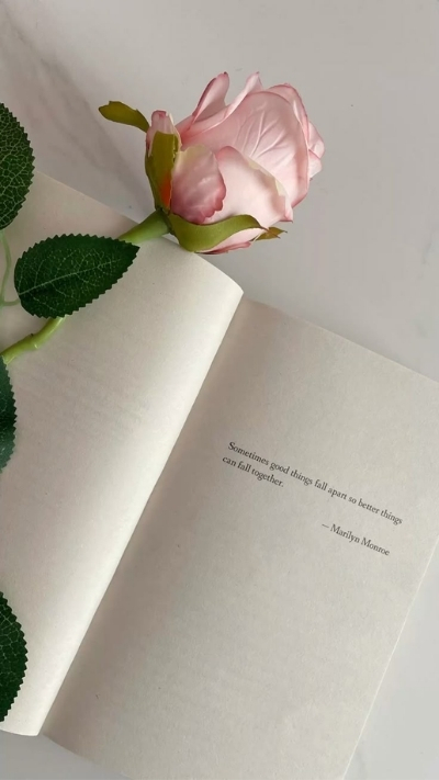 Hình nền hoa hồng 4K