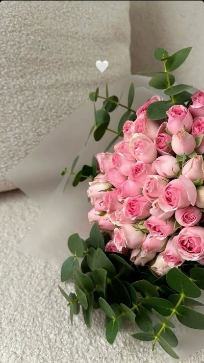 Hình nền hoa hồng đậm đẹp