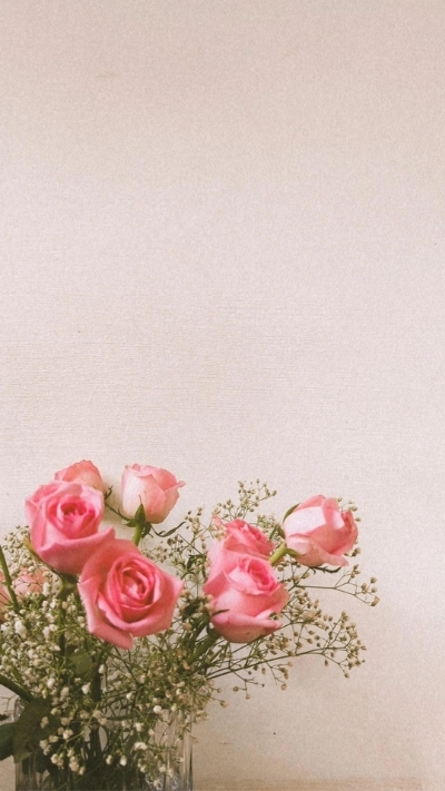 Hình nền hoa hồng đậm