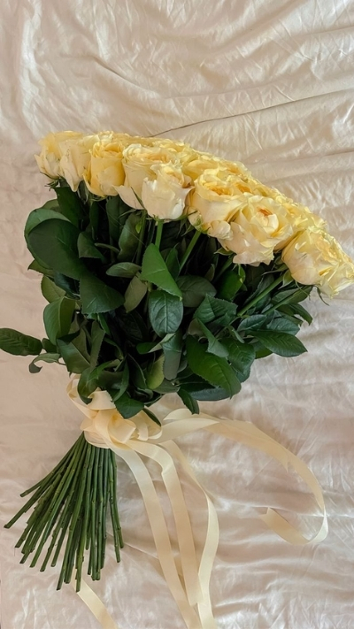 Hình nền hoa hồng vàng nhạt