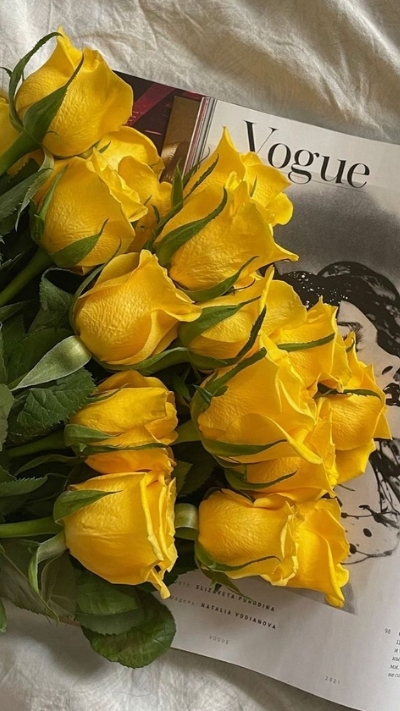 Hình nền hoa hồng vàng với tạp chí