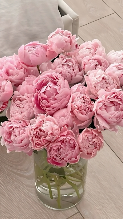 Hình nền hoa mẫu đơn hồng trong lọ hoa trong suốt