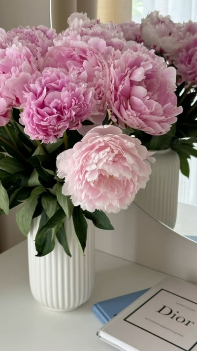 Hình nền hoa mẫu đơn tím trong lọ hoa