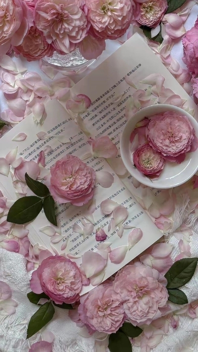 Hình nền hoa mẫu đơn với sách