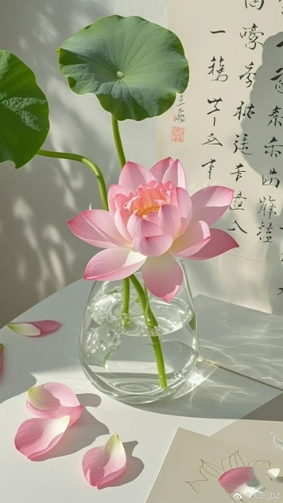 Hình nền hoa sen trong lọ thủy tinh