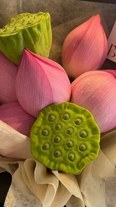 Hình nền hoa sen và nhụy