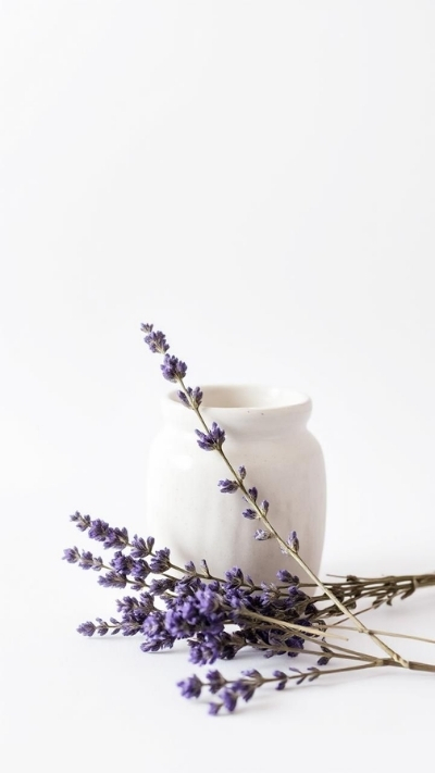 Hình nền lavender xinh xẻo