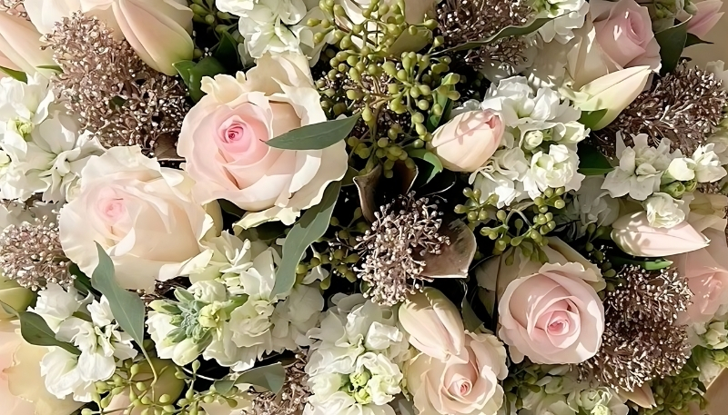 hình nền bó hoa hoa hồng