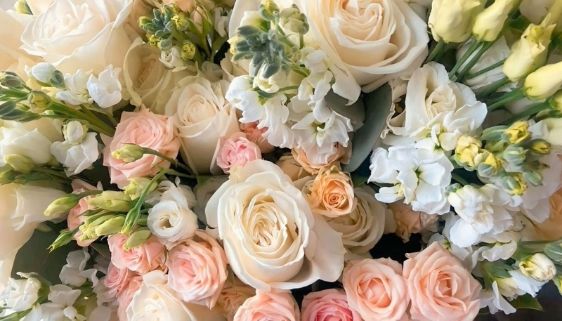 hình nền hoa hồng đủ màu