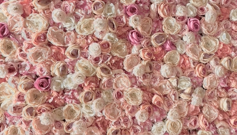 hình nền hoa hồng phấn