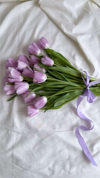 Ảnh nền hoa tulip tím mộng mơ tím