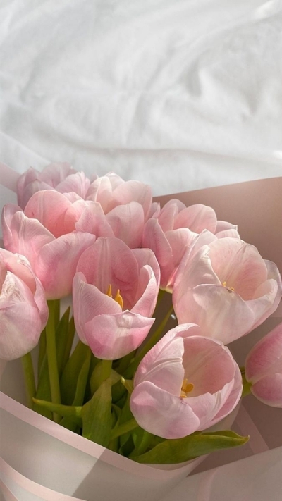 Hình nền bó hoa Tulip