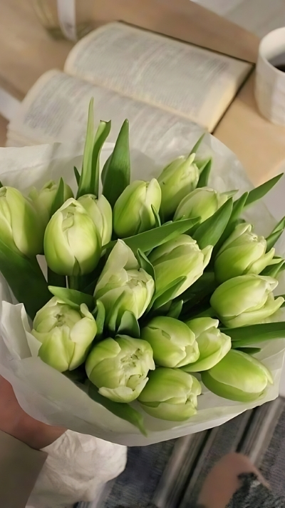 Hình nền hoa tulip chill màu xanh non