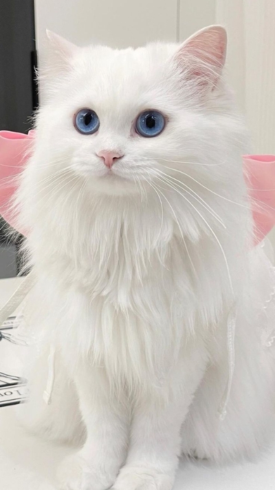 Hình nền iOS 17 Full HD