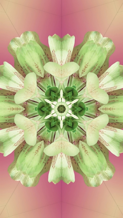 Hình nền iPhone iOS 17