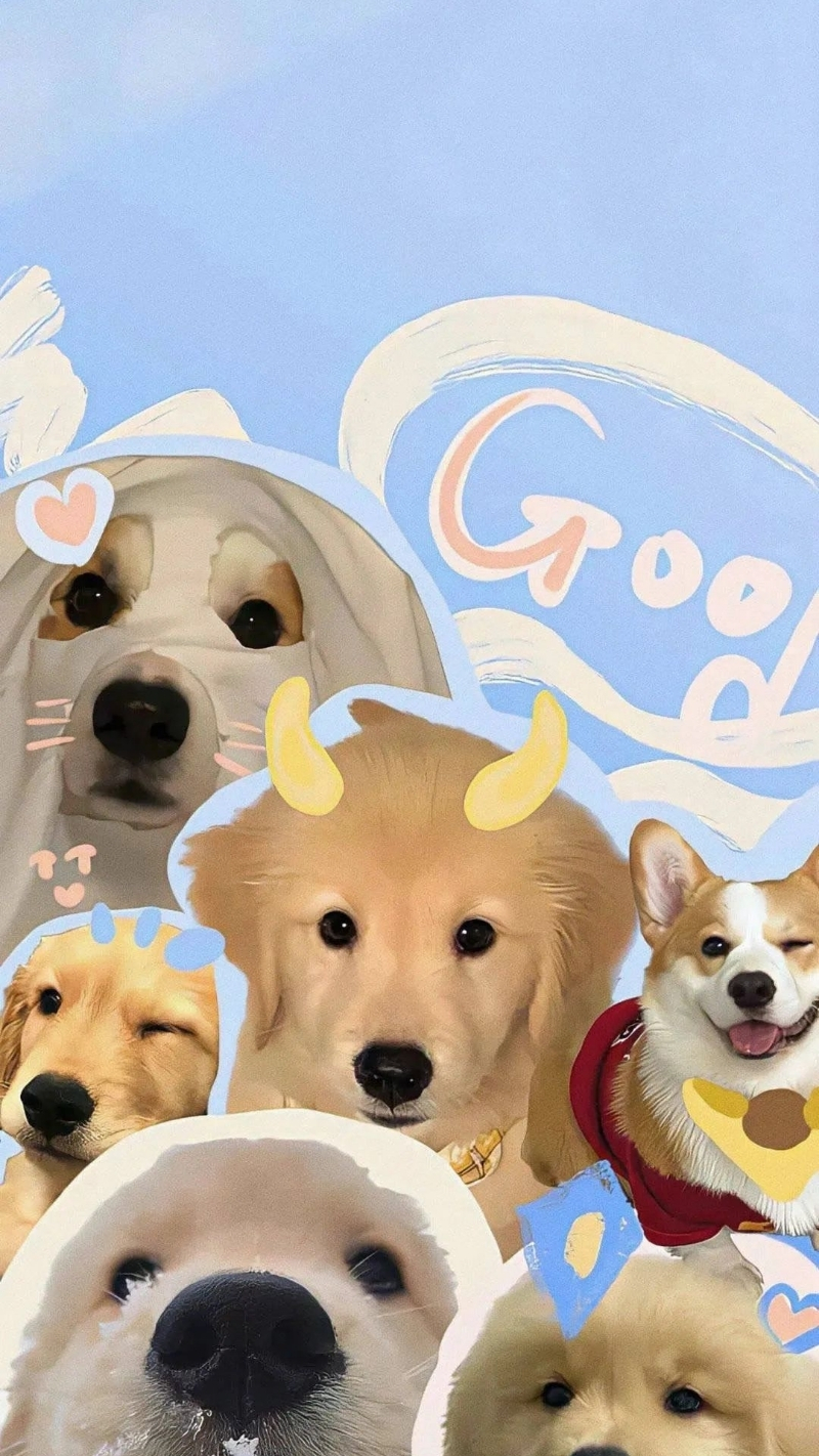 hình nền động vật cho iphone 17 đẹp nhất