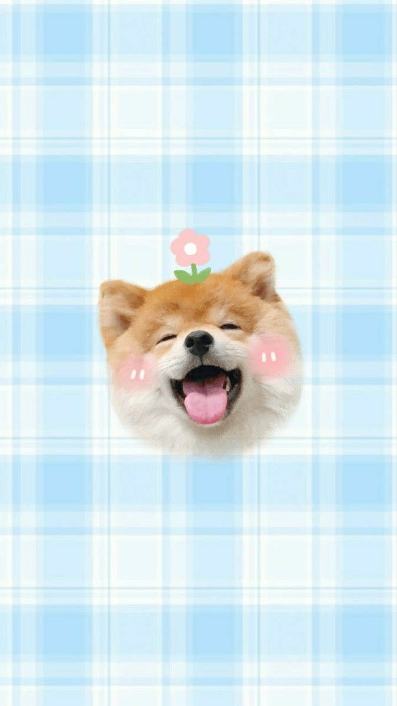 hình nền động vật cho iphone 17 sắc nét