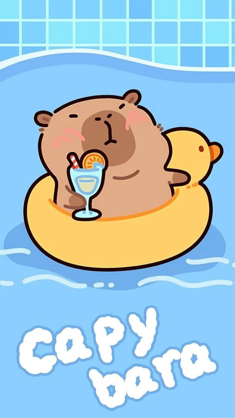 hình nền động vật cho iphone air hoàn hảo