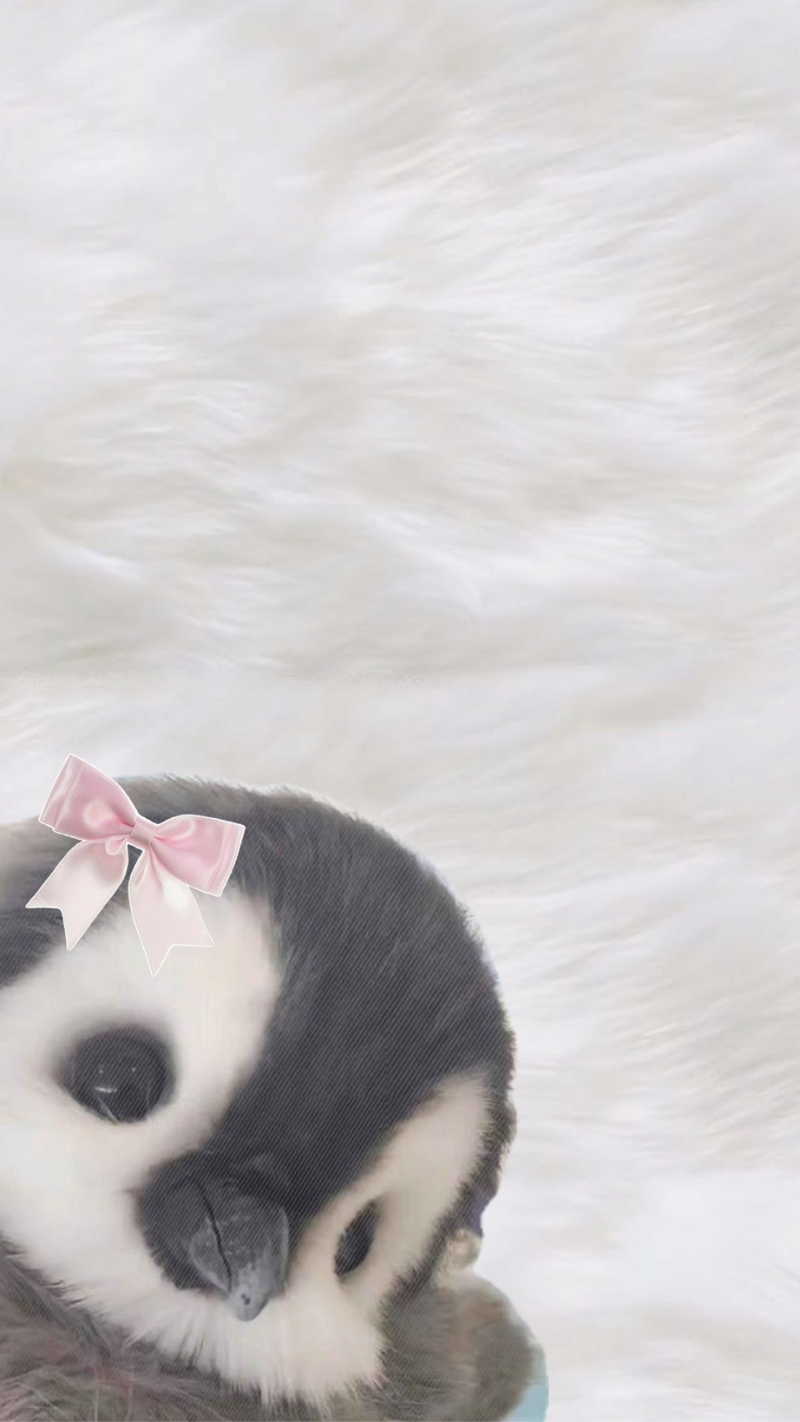 hình nền động vật cho iphone air long lanh