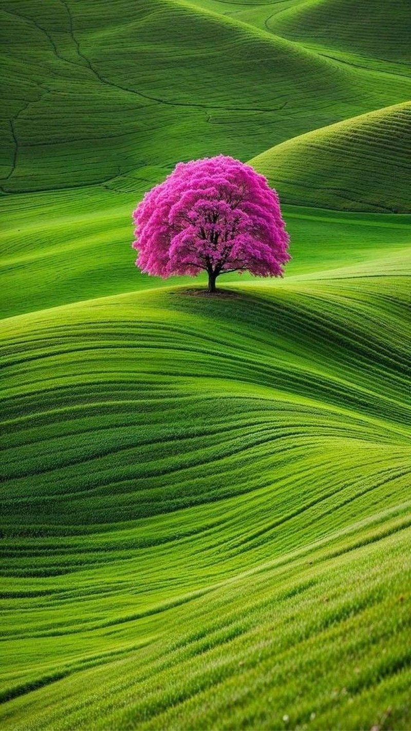 hình nền thiên nhiên iphone air tuyệt đẹp