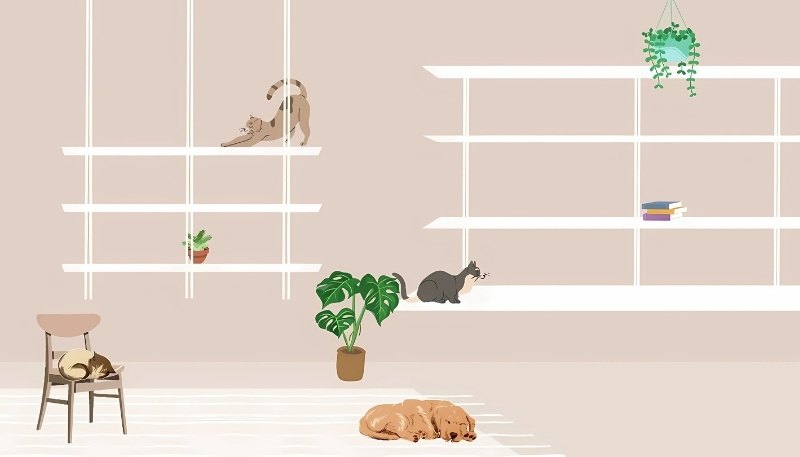 ảnh nền kệ sách màu hồng đẹp nhất