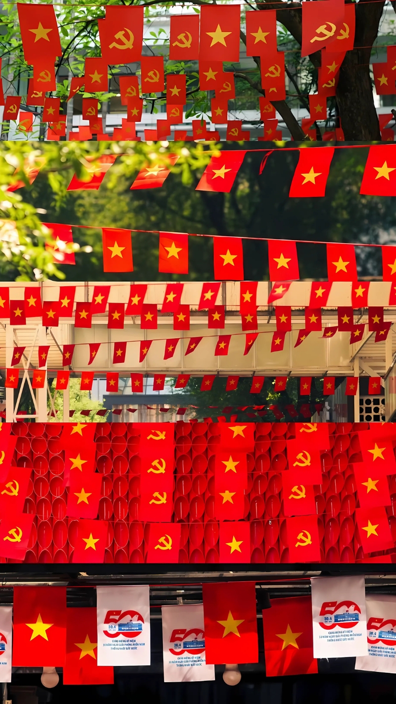 ảnh nền lá cờ việt nam trong cuộc sống rực rỡ