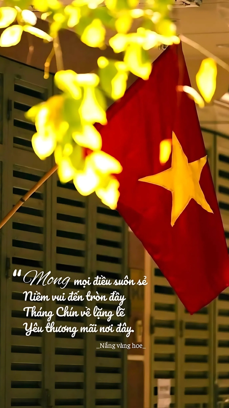 ảnh nền lá cờ việt nam trong cuộc sống tự hào